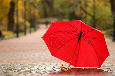 Open red umbrella on paved pathway in autumn park, space for text