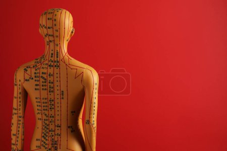 Téléchargez les photos : Acupuncture - médecine alternative. Modèle humain avec des points et des lignes sur fond rouge, vue arrière. Espace pour le texte - en image libre de droit
