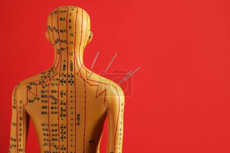 Téléchargez les photos : Acupuncture - médecine alternative. Modèle humain avec aiguilles à l'épaule sur fond rouge, vue arrière. Espace pour le texte - en image libre de droit