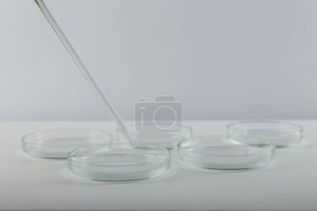 Photo for Pipette over petri dish on light background - Royalty Free Image