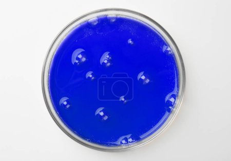 Foto de Placa Petri con muestra de líquido de color sobre fondo blanco, vista superior - Imagen libre de derechos