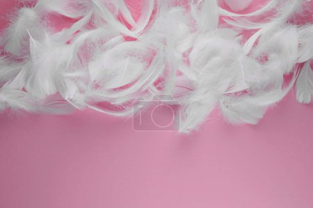 Photo for Many fluffy white feathers on pink background, flat lay. Space for text - Royalty Free Image