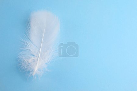 Photo for Fluffy white feather on light blue background, top view. Space for text - Royalty Free Image