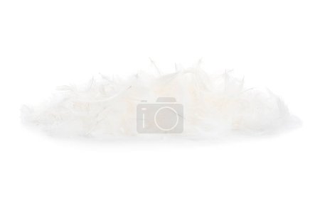 Photo for Pile of beautiful bird feathers isolated on white - Royalty Free Image