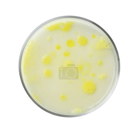 Foto de Placa Petri con muestra líquida amarilla sobre fondo blanco, vista superior - Imagen libre de derechos