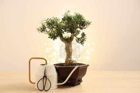 Téléchargez les photos : Bel arbre de bonsaï en pot, arrosoir et ciseaux sur table en bois - en image libre de droit