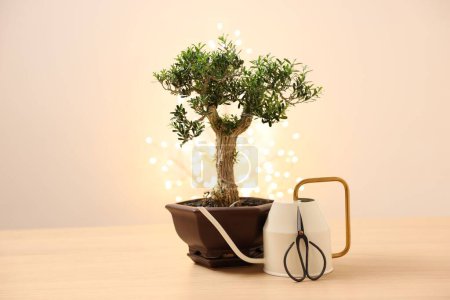 Téléchargez les photos : Bel arbre de bonsaï en pot, arrosoir et ciseaux sur table en bois, espace pour le texte - en image libre de droit