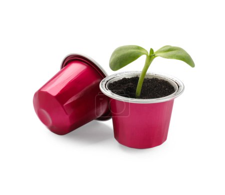 Téléchargez les photos : Semis verts poussant en capsule de café isolé sur blanc - en image libre de droit
