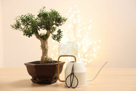 Téléchargez les photos : Bel arbre de bonsaï en pot, arrosoir et ciseaux sur table en bois - en image libre de droit