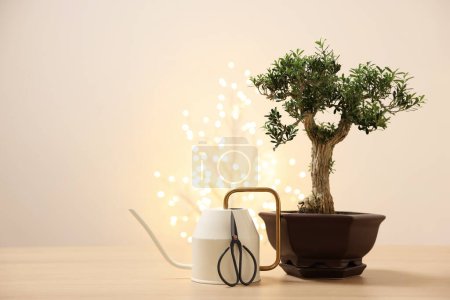 Téléchargez les photos : Bel arbre de bonsaï en pot, arrosoir et ciseaux sur table en bois, espace pour le texte - en image libre de droit
