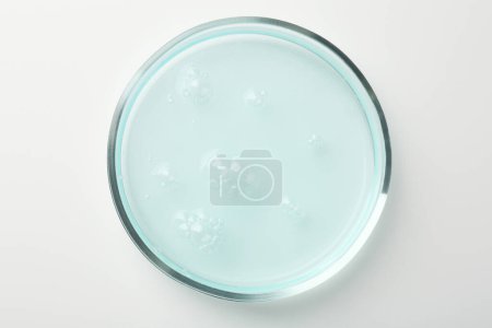 Foto de Placa Petri con muestra líquida azul claro sobre fondo blanco, vista superior - Imagen libre de derechos