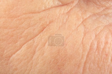 Foto de Textura de piel humana con arrugas como fondo, vista macro - Imagen libre de derechos