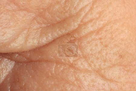 Foto de Textura de piel humana con arrugas como fondo, vista macro - Imagen libre de derechos