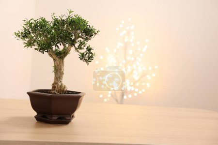 Téléchargez les photos : Bel arbre de bonsaï en pot sur table en bois, espace pour le texte - en image libre de droit