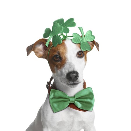 Photo for St. Patrick's day celebration. Cute Jack Russell terrier wearing headband with clover leaves and green bow tie isolated on white - Royalty Free Image