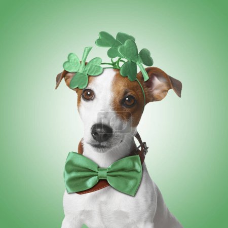 Photo for St. Patrick's day celebration. Cute Jack Russell terrier wearing headband with clover leaves and bow tie on green background - Royalty Free Image