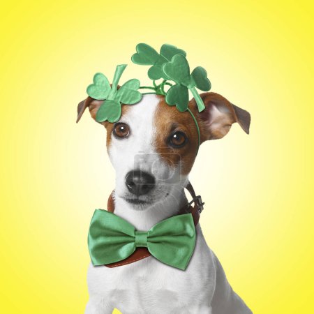 Photo for St. Patrick's day celebration. Cute Jack Russell terrier wearing headband with clover leaves and green bow tie on yellow background - Royalty Free Image