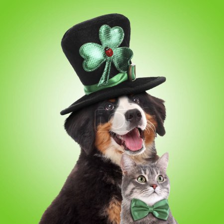 Photo for St. Patrick's day celebration. Cute dog in leprechaun hat and cat with bow tie on green background - Royalty Free Image