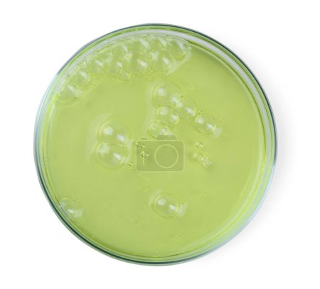 Foto de Placa Petri con muestra líquida de color aislada en blanco, vista superior - Imagen libre de derechos