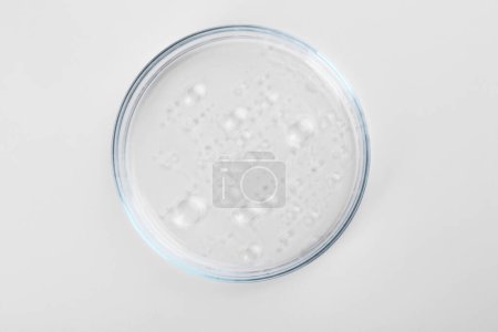 Foto de Placa Petri con muestra líquida aislada en blanco, vista superior - Imagen libre de derechos