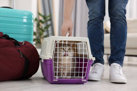 Téléchargez les photos : Voyage avec animal de compagnie. Homme près du transporteur avec chat mignon à la maison, gros plan - en image libre de droit