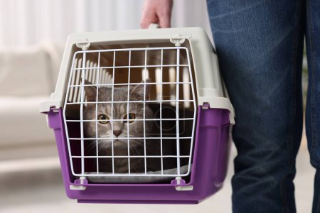 Téléchargez les photos : Voyage avec animal de compagnie. Homme tenant transporteur avec chat mignon à la maison, gros plan - en image libre de droit