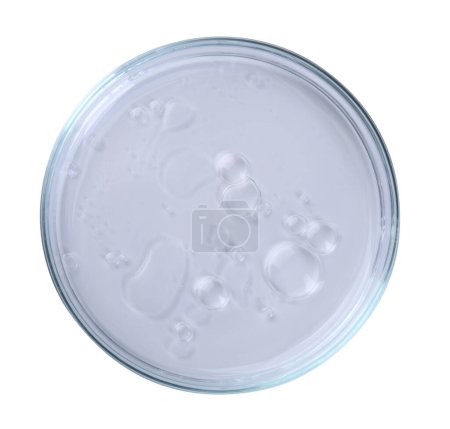Placa Petri con muestra líquida aislada en blanco, vista superior