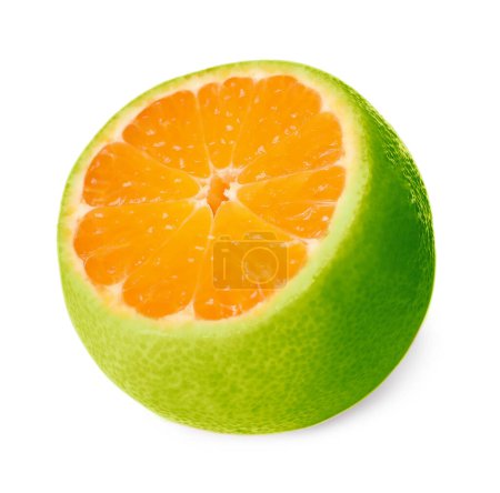Photo for Cut green tangerine isolated on white. Citrus fruit - Royalty Free Image
