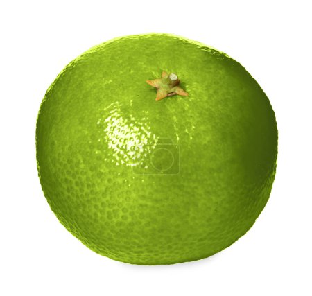 Photo for Green tangerine isolated on white. Citrus fruit - Royalty Free Image