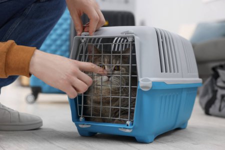 Téléchargez les photos : Voyage avec animal de compagnie. Homme fermeture transporteur avec chat à l'intérieur, gros plan - en image libre de droit