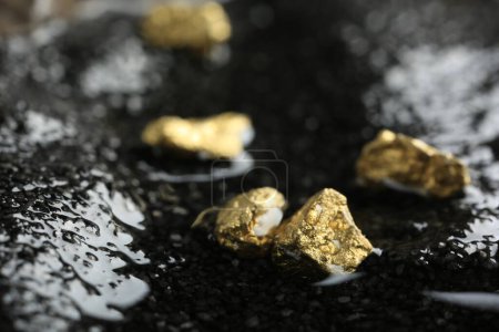 Foto de Pepitas de oro brillante en piedras mojadas, primer plano - Imagen libre de derechos