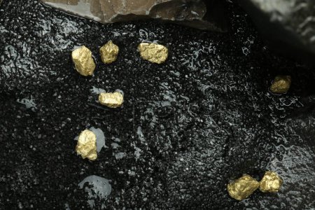 Photo for Shiny gold nuggets on wet stones, top view - Royalty Free Image