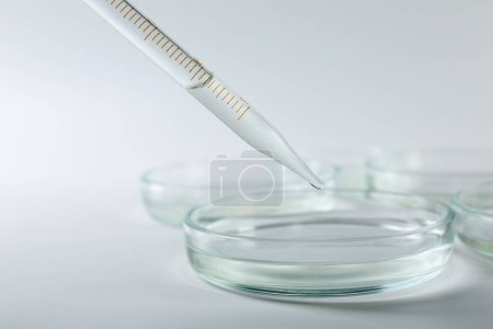 Photo for Dripping liquid from pipette into petri dish on light background, closeup - Royalty Free Image