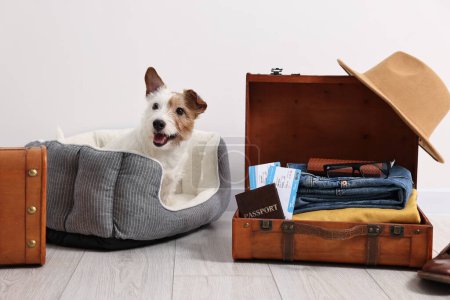 Téléchargez les photos : Voyage avec animal de compagnie. Chien, vêtements, passeport, billets et valise à l'intérieur - en image libre de droit
