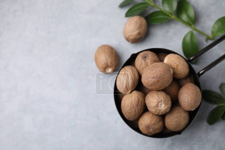 Whole nutmegs in small saucepan and green branches on light table, flat lay. Space for text