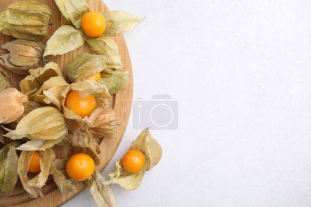 Ripe physalis fruits with calyxes on white table, top view. Space for text