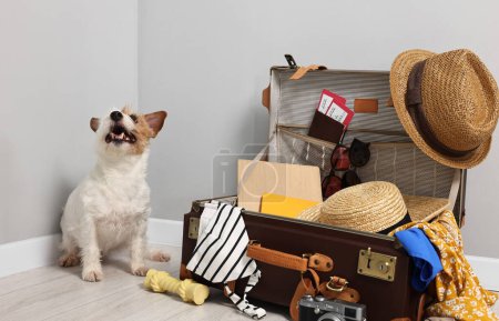 Téléchargez les photos : Voyage avec animal de compagnie. Chien, vêtements et valise en intérieur - en image libre de droit