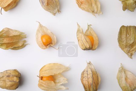Ripe physalis fruits with calyxes on white background, flat lay