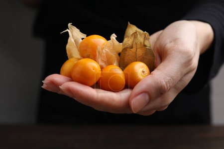 Woman holding pile of ripe physalis fruits and calyxes, closeup
