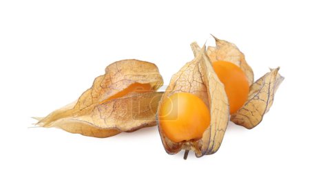 Reife Physalis-Früchte mit Kelchen isoliert auf weiß