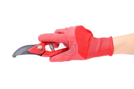 Photo for Woman in gardening glove holding secateurs on white background, closeup - Royalty Free Image