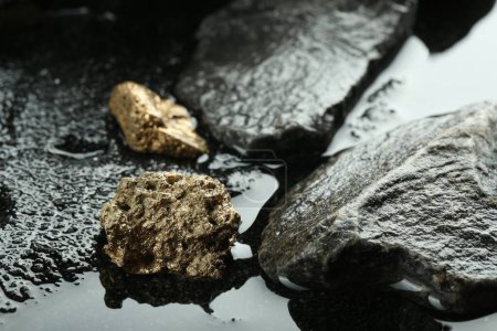 Foto de Pepitas de oro brillante en piedras mojadas, primer plano - Imagen libre de derechos