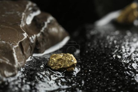 Photo for One shiny gold nugget on wet stone - Royalty Free Image