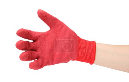 Photo for Woman in gardening glove on white background, closeup - Royalty Free Image