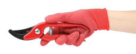 Woman in gardening glove holding secateurs on white background, closeup