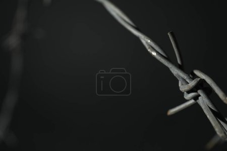 Metal barbed wire on dark grey background, closeup. Space for text