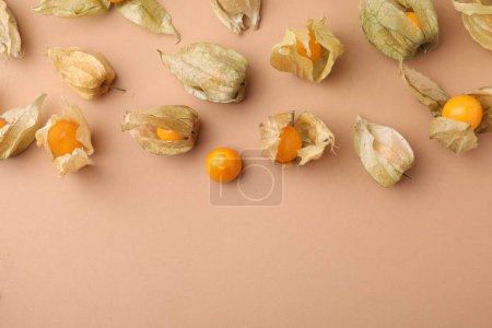 Ripe physalis fruits with calyxes on beige background, flat lay. Space for text