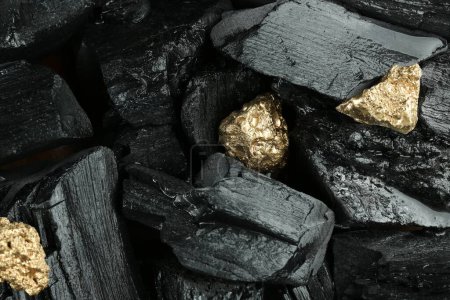 Photo for Shiny gold nuggets on coal, top view - Royalty Free Image