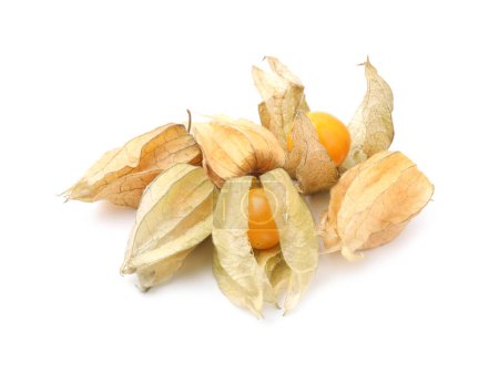 Muchos frutos maduros de physalis con cálices aislados en blanco