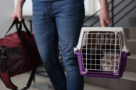 Reisen mit Haustier. Mann hält Tragetasche mit niedlicher Katze und Tasche drinnen, Nahaufnahme